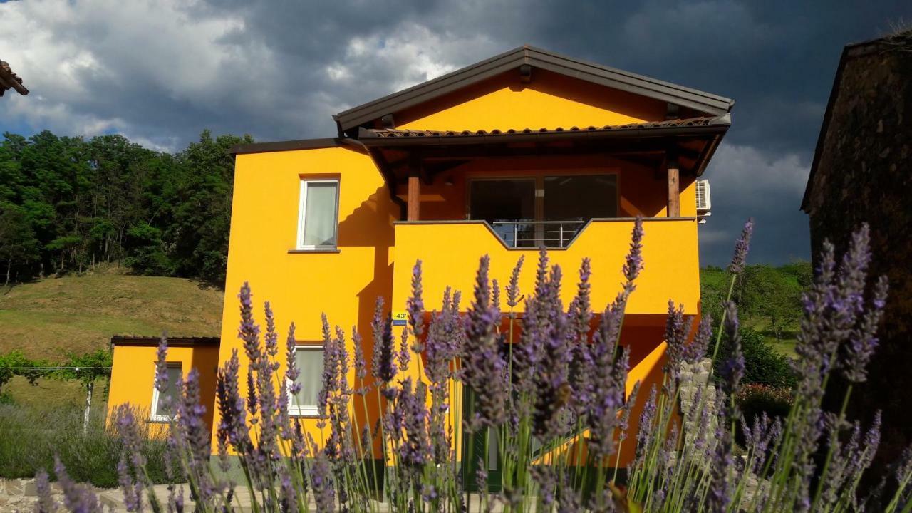 Гостевой дом Pocitniska Hisa Dobravlje Экстерьер фото